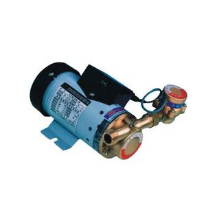 12WZR-8热水增压泵